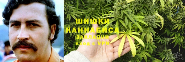 прущая мука Алзамай