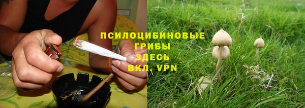 прущая мука Алзамай