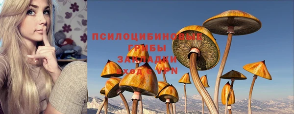 прущая мука Алзамай