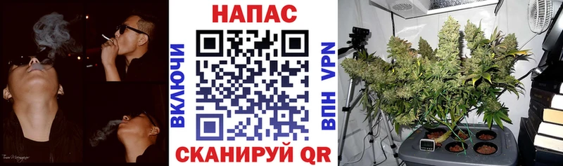 Марихуана конопля  дарнет шоп  Берёзовский 